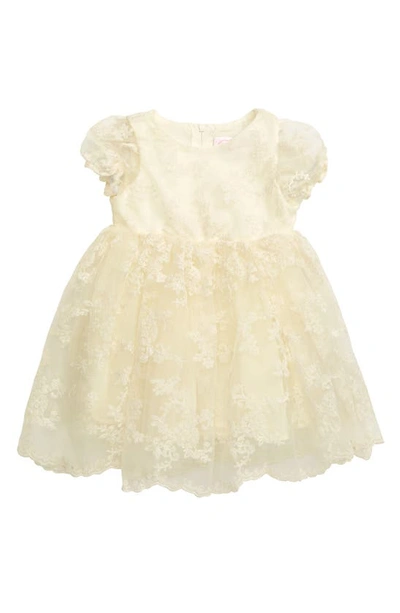 Popatu Babies' Floral Embroidered Organza Fit & Flare Dress In Cream