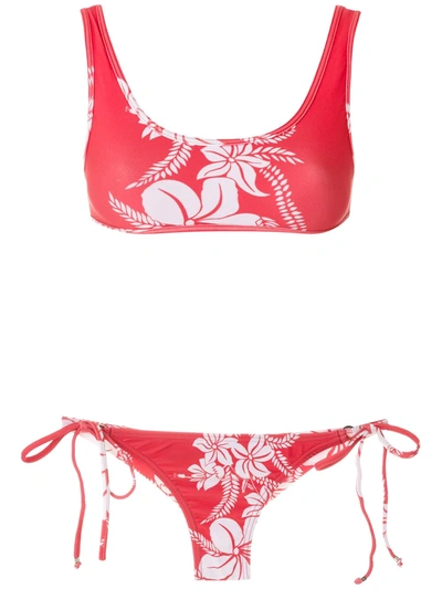Amir Slama Floral-print Bikini Set In Red