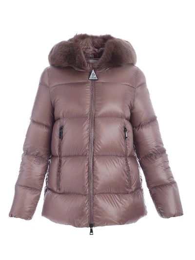 Moncler Dove Serifur Down Jacket Featuring Fox Hood In Brown