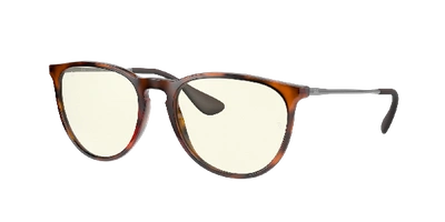 RAY BAN RAY,8056597377515