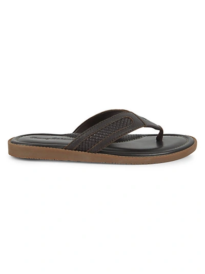 Tommy Bahama Asher Leather Thong Sandals In Brown