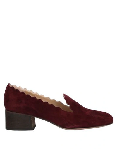 Chloé Loafers In Maroon