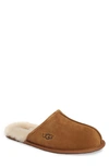 Ugg Mens Scuff Slipper In Chestnut In Otter Suede