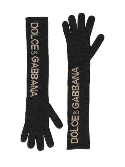 Pre-owned Dolce & Gabbana Accessories In Beige, Grey