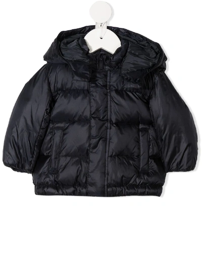 Emporio Armani Babies' Short Padded Coat In Blue