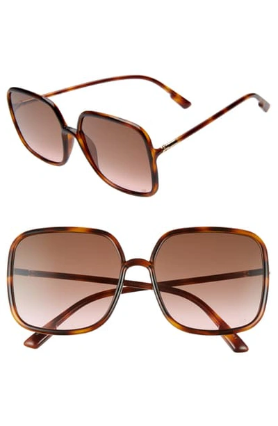Dior Stellair 59mm Square Sunglasses In Havana/ Black Brown Green