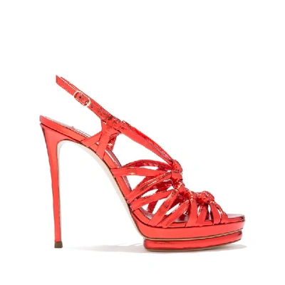 Casadei Giulia Pandora In Coral Bay