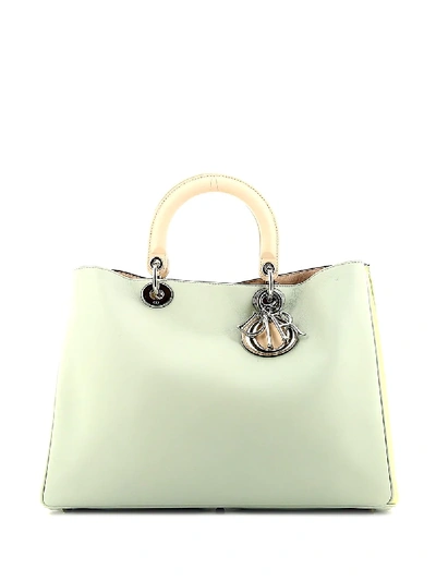 Pre-owned Dior Large Issimo Tote Bag In Green