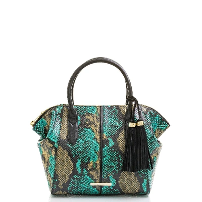 Brahmin Mini Camila Bird Of Paradise Frontera ModeSens