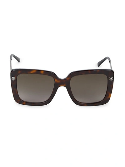 Gucci 53mm Core Square Sunglasses In Shiny Dark Havana