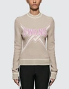 OFF-WHITE KNIT SWANS SWEATER