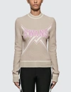 Off-white Swans Knitted Sweater In Beige