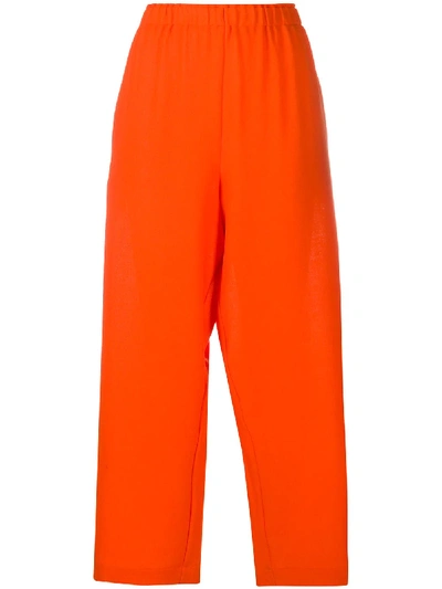 Daniela Gregis Wide-leg Wool Cropped Trousers In Orange