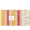 ACNE STUDIOS Acne Studios Vivianne Stripe Scarf