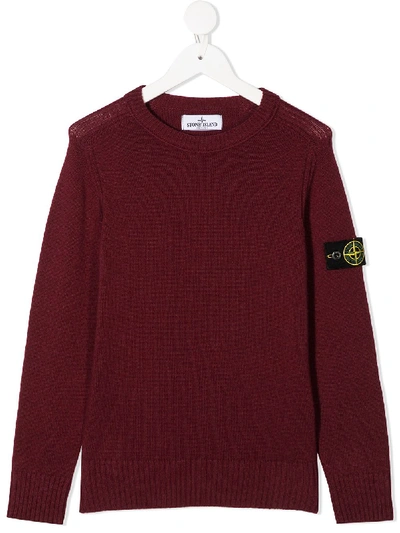 Stone Island Junior Kids' Logo Long-sleeve Jumper In Red