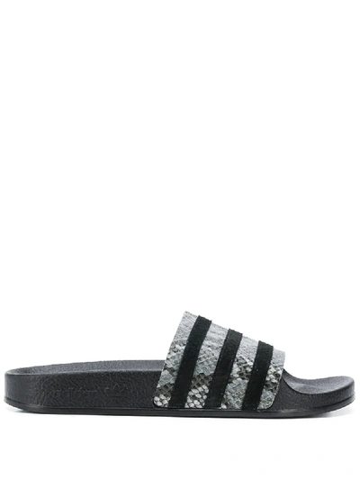 Adidas Originals Adilette Snakeskin Effect Slides In Black