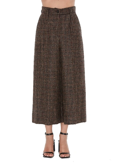 Dolce & Gabbana Pants In Brown