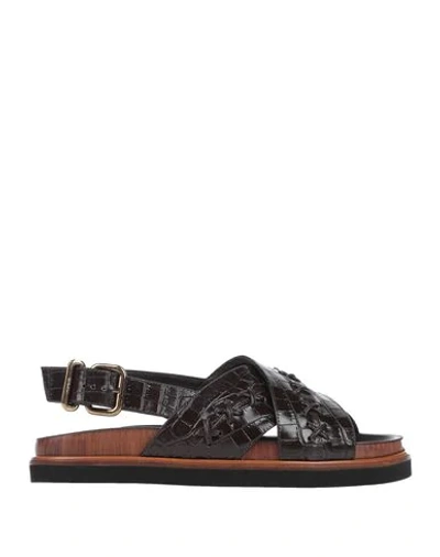 Tod's Woman Sandals Dark Brown Size 6 Leather