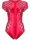 Duskii Cerise Short Cap Sleeve Swimsuit In Red