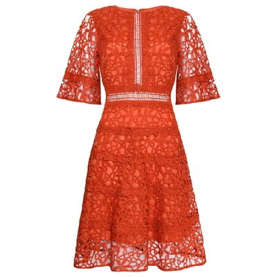 True Decadence Baked Rose Lace Cut Work Midi Dress In Rust
