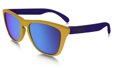 Oakley Frogskins™ Sunglasses In Drop Off