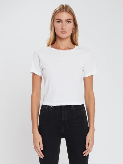 Amo Babe Crop Tee In White