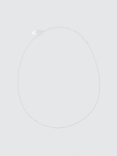 Alex Mika Plain Chain Choker Necklace In Grey