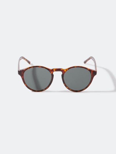 Komono Devon Round Sunglasses In Brown