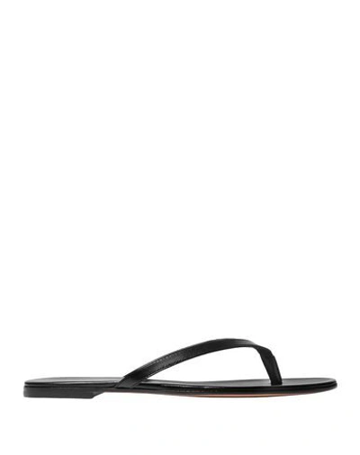 Gianvito Rossi Calypso Leather Thong Sandals In Black | ModeSens