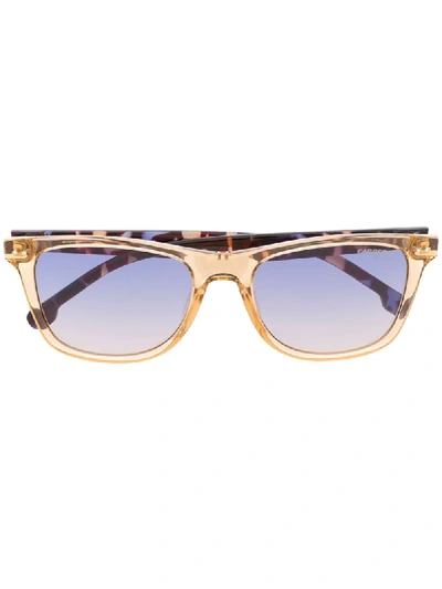 Carrera Square Frame Sunglasses In Brown
