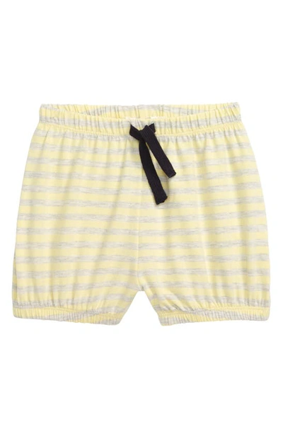 Miles Baby Stripe Knit Shorts In Light Yellow