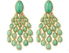 Aurelie Bidermann Turquoise Cherokee Earrings In Green