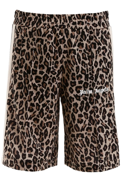 Palm Angels Leopard Short Trackpants In Beige,black