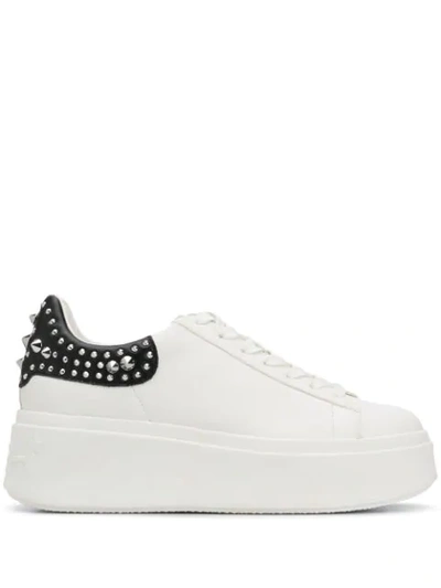 Ash Moby Studded Low-top Sneakers In White