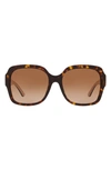 TORY BURCH 57MM SQUARE SUNGLASSES,TY714057-Y