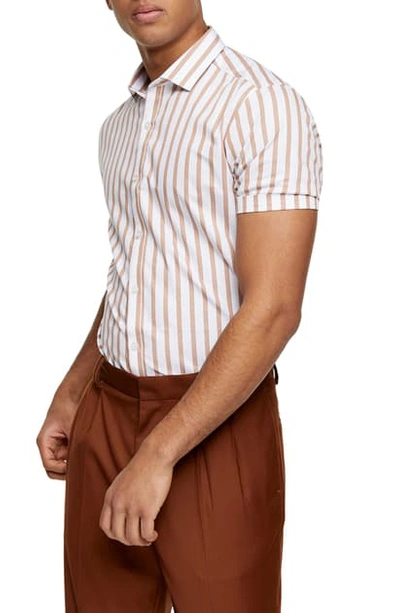 Topman New Stripe Slim Fit Short Sleeve Button-up Shirt In Brown Multi