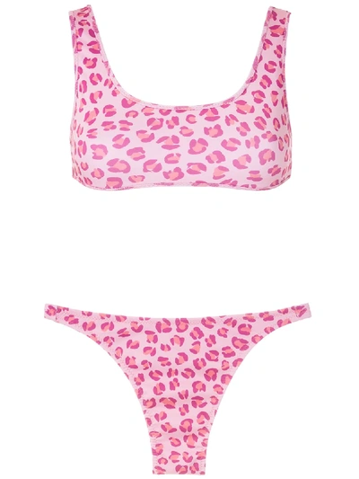 Amir Slama Leopard-print Two-piece Bikini In Pink