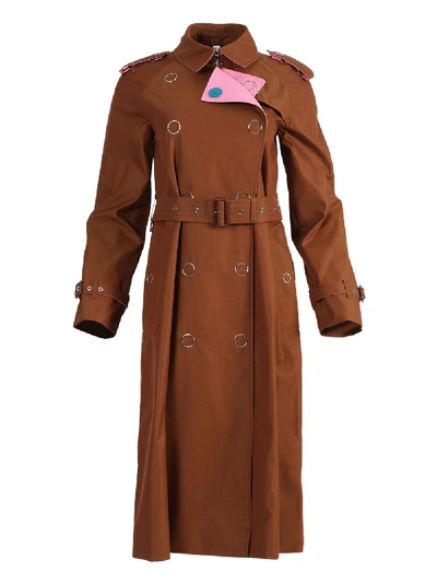 Burberry Brown And Pink Trench Coat