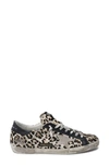Golden Goose Super-star Low-top Sneaker In Brown Black/leo/ice Calf Hair