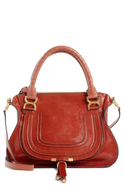 Chloé Marcie Snake Embossed Leather Satchel In Chestnut Brown