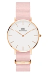 DANIEL WELLINGTON PETITE ROSEWATER NATO STRAP WATCH, 32MM,DW00100317