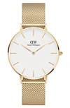 Daniel Wellington Dw00100348 Petite Evergold Stainless-steel Japanese Quartz Watch In Gold/ Eggshell