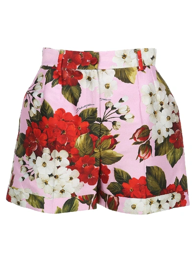 Dolce & Gabbana Floral Print Shorts In Pink,red,white