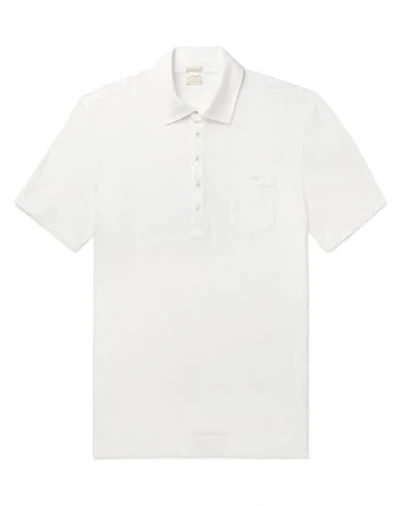 Massimo Alba Polo Shirts In White