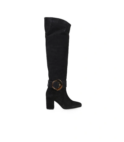 Pinko Laetitia Black Suede High Knee Boot