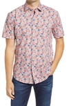 Bugatchi Shaped Fit Print Short Sleeve Button-up Shirt In Cerise