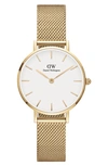 Daniel Wellington Petite Evergold Mesh Strap Watch, 28mm In Gold/ Eggshell