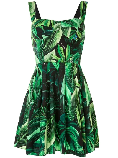dolce and gabbana green leaf dress Dolce & Gabbana Green Leaves Print Cotton Flared Mini Dress