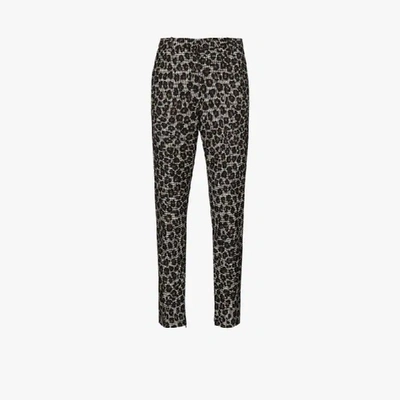 Versace Leopard Print Virgin Wool Trousers In Brown