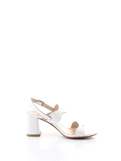Albano Women's White Leather Sandals